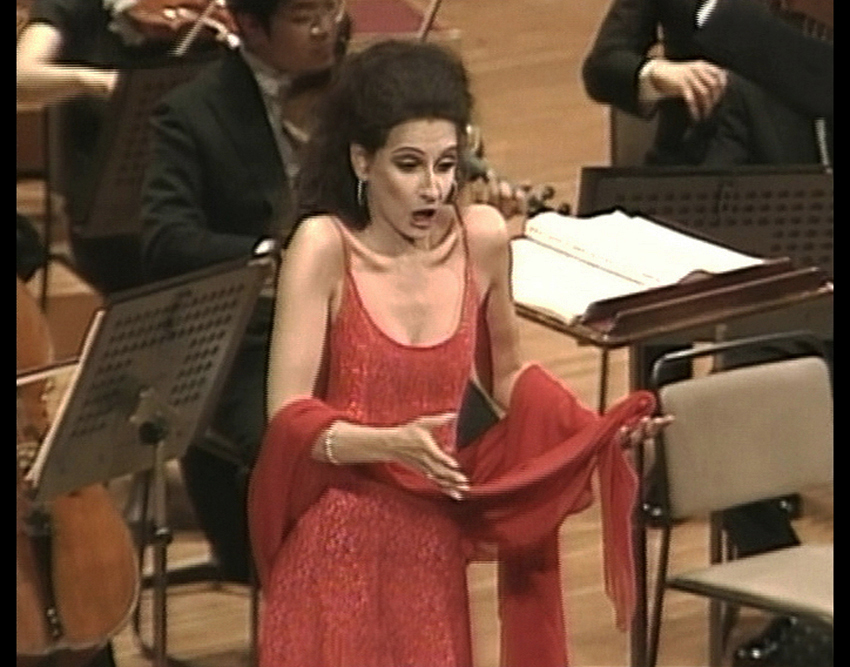Photo taken from the Video Recording-Lucia Aliberti-Suntory Hall-Special Concert-Tokyo-DVD Live Recording-On Stage-Photo taken from the TV:http://www.luciaaliberti.it #luciaaliberti #suntoryhall #tokyo #concert #onstage #dvdliverecording #tvportrait