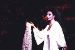 Lucia Aliberti⚘Metropolitan Opera House⚘New York⚘Opera⚘Lucia di Lammermoor⚘On Stage⚘:http://www.luciaaliberti.it #luciaaliberti #metropolitanoperahouse #newyork #luciadilammermoor #opera #onstage